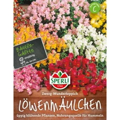 Sperli Löwenmaul Zwerg-Wunderteppich