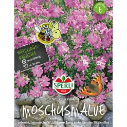 Sperli Moschus Malven ngs Rosa