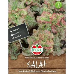 Sperli Pflücksalat Amerikanischer brauner