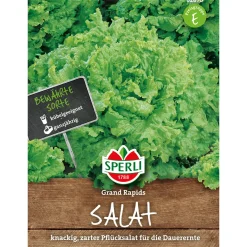 Sperli Pflücksalat Grand Rapids