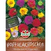 Sperli Portulakröschen Prachtmischung