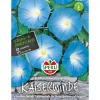 Sperli Prunkwinden ngs Blaue Königin