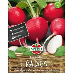 Sperli Radieschen Riesenbutter