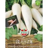 Sperli Rettich Rex 5 m Saatband