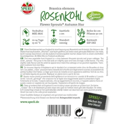 Sperli Rosenkohl Flower Sprout
