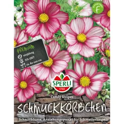 Sperli Schmuckkörbchen Candy Stripes