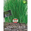 Sperli Schnittlauch Twiggy