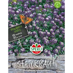 Sperli Steinkraut ngs Königsteppich