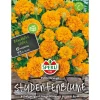Sperli Studentenblumen Petite Orange
