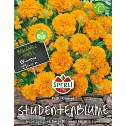 Sperli Studentenblumen Petite Orange