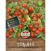 Sperli Tomaten Donna