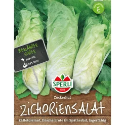 Sperli Zichoriensalat Zuckerhut