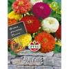 Sperli Zinnien Dahlienblütige Mischung