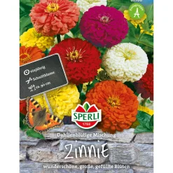 Sperli Zinnien Dahlienblütige Mischung