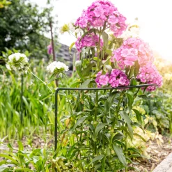 Staudenstütze 100x40cm