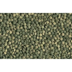 Tetra Fischfutter Pleco Tablets 58 Tabletten