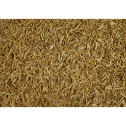 Tetra Schildkrötenfutter Anchovies 250 ml
