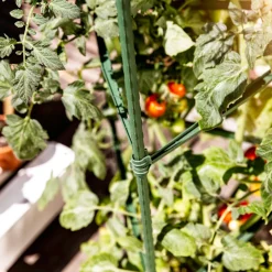 Tomaten-Rankturm 150x30cm