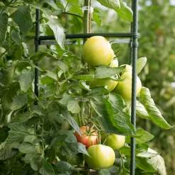 Tomaten-Rankturm 150x30cm
