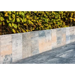 Top Palisade Muschelkalk 30/15/4,5 cm