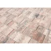 TP No. 1 Nature Muschelbeige 60x30x4 cm