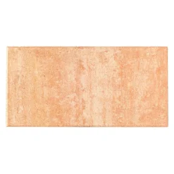 TP No. 1 Nature Sandstein 60x30x4 cm
