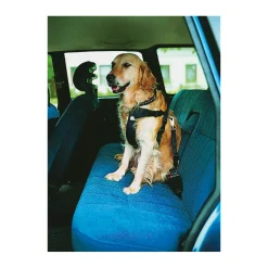 TrixieAuto-Geschirr schwarz L 70-90 cm