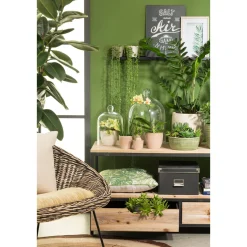 Uebertopf 866/25 corteza menta