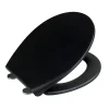 WC-Sitz Ikaria schwarz matt, Duroplast