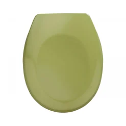Wenko WC-Sitz Bergamo Grün antibakteriell