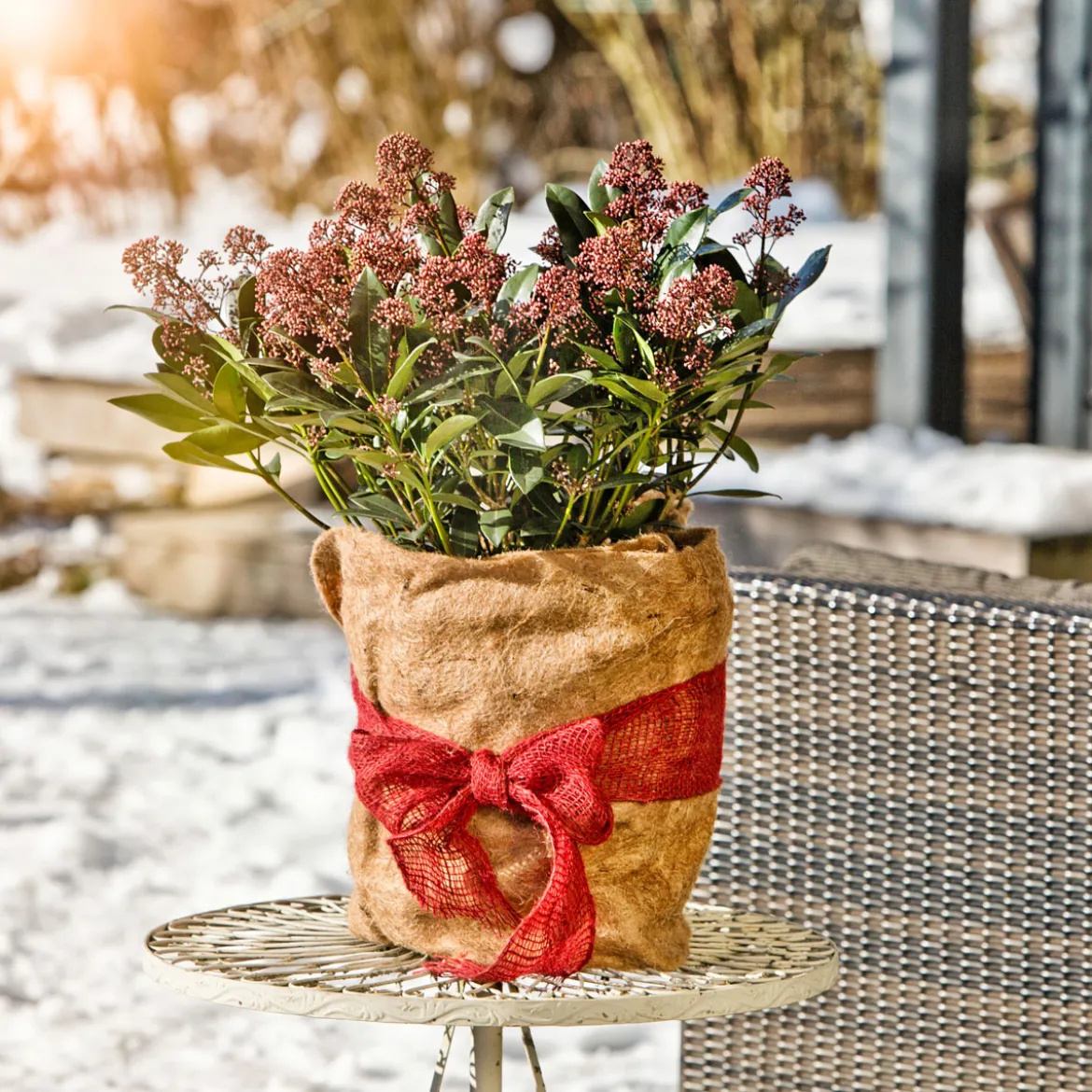 Wintersch.-Vliesmatte Jute 0,38x1,5 m